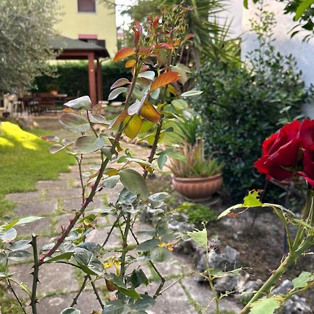 La Casa Di Gemma B&B Villa Vomano Exteriér fotografie