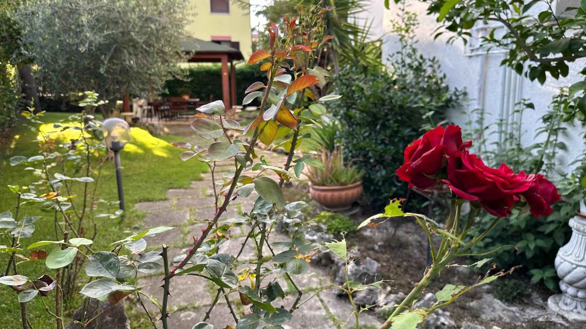 La Casa Di Gemma B&B Villa Vomano Exteriér fotografie